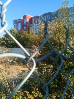Tacoma Waterfront