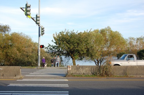 Green Lake Crosswalk